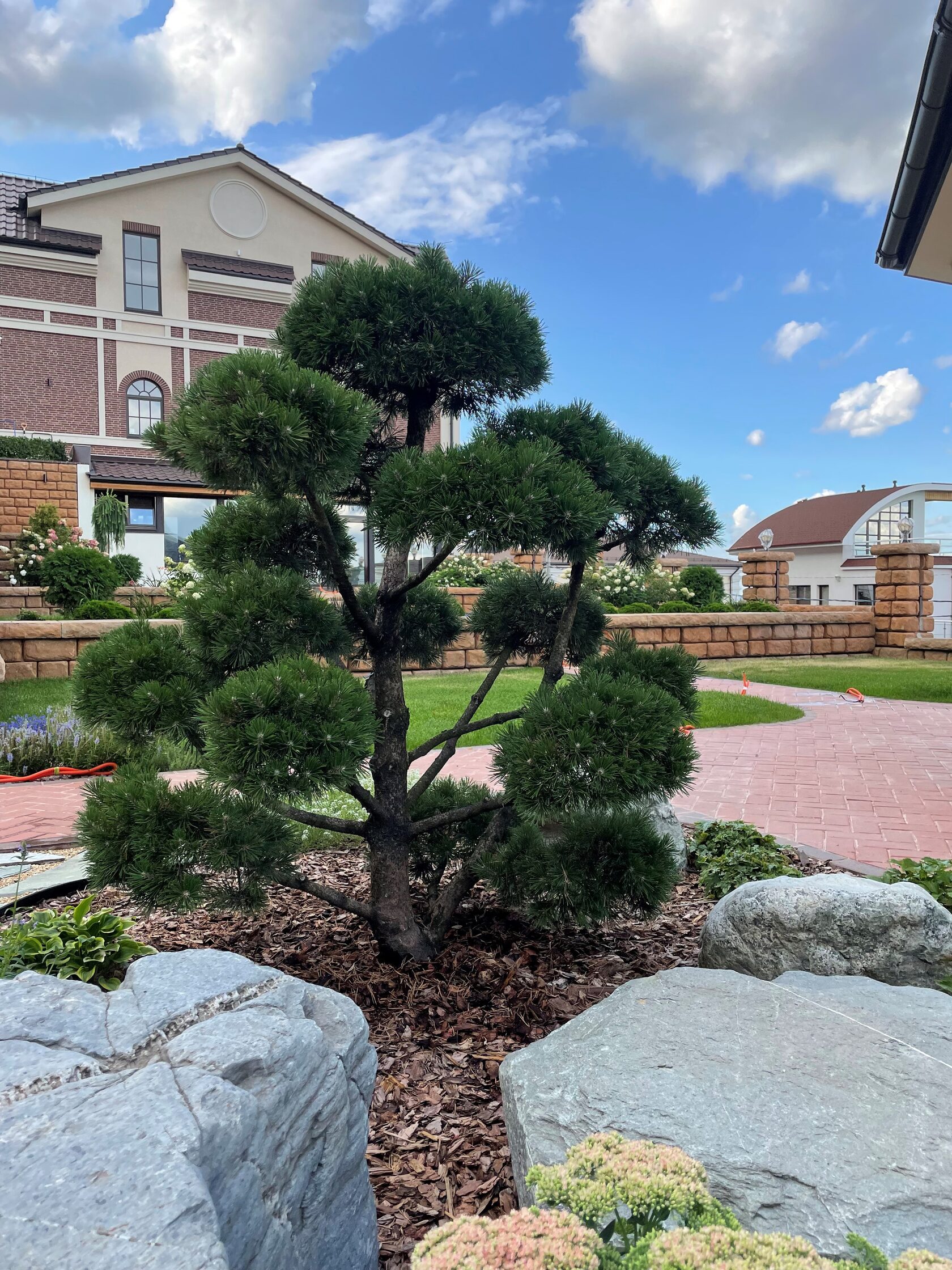 Фото на объекте «Сад в г. Нижний Новгород» - 11