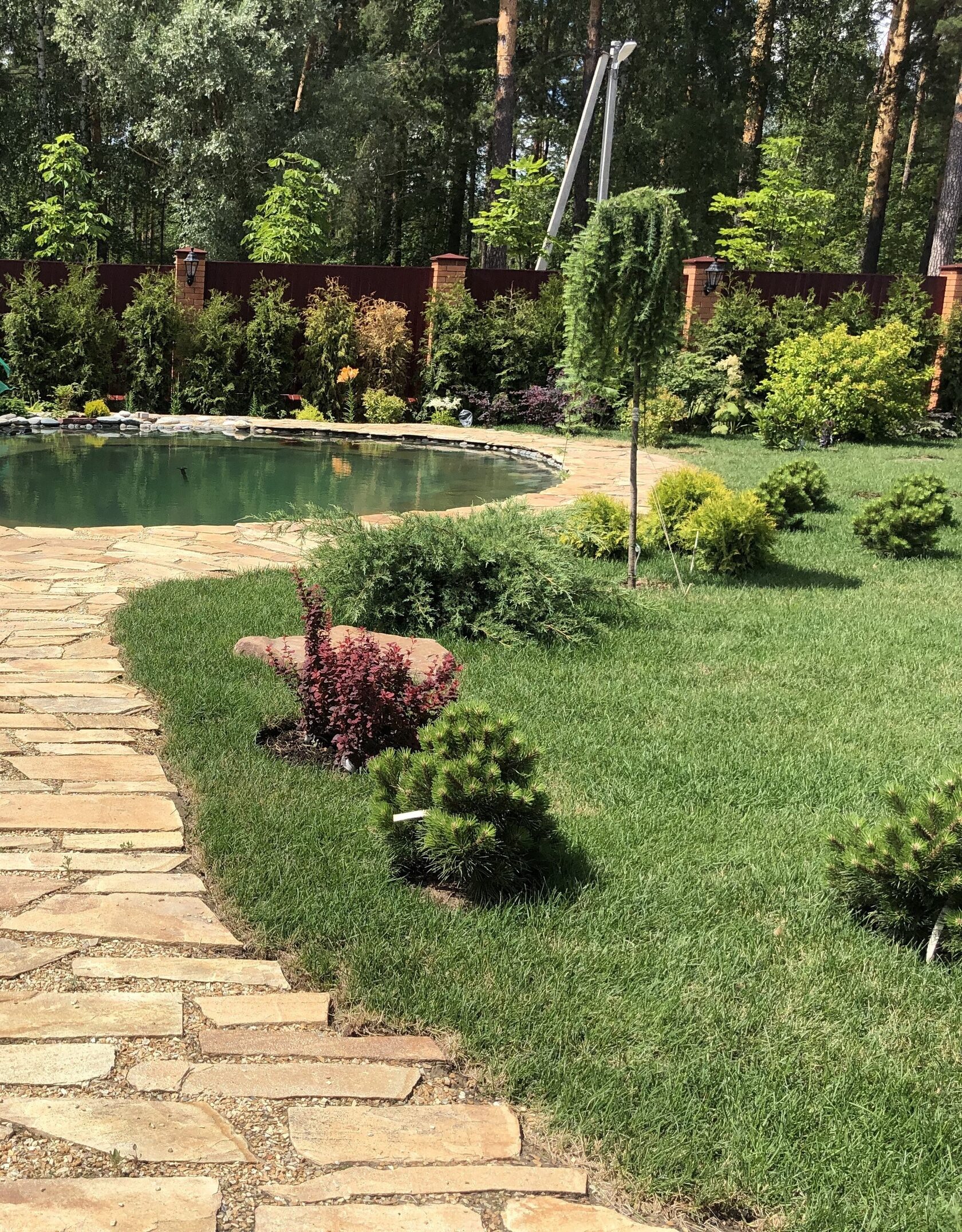 Фото на объекте «Сад в г. Выкса» - 3