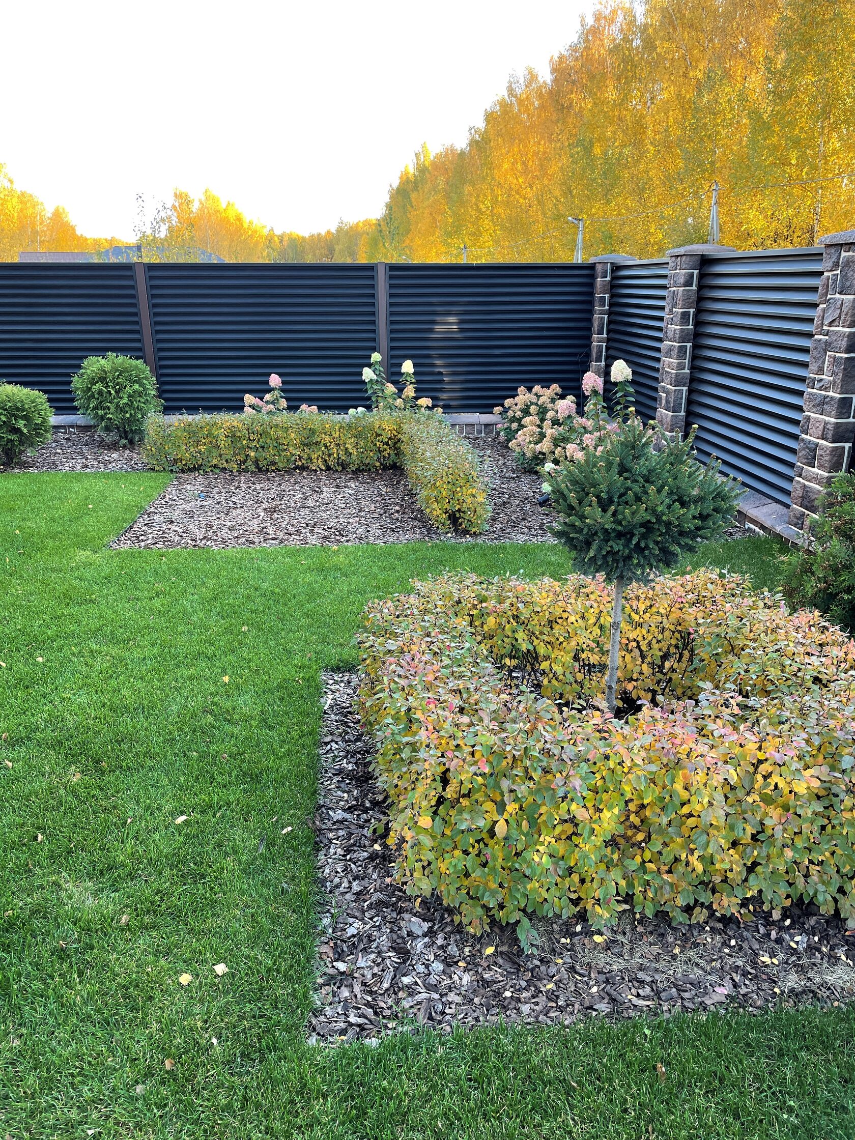 Фото на объекте «Сад в КП Чистые Ключи 2» - 23