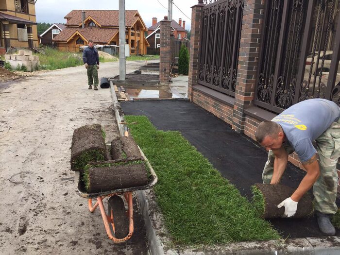 Сад в КП Земляничная поляна