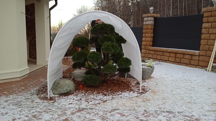 Сад в г. Нижний Новгород