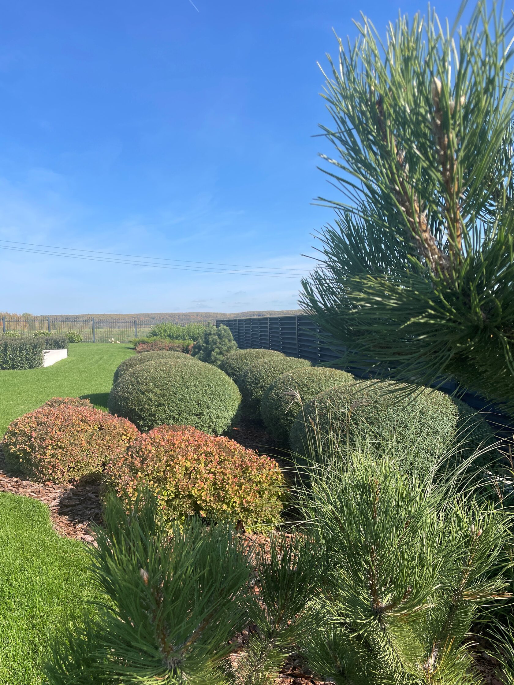 Фото на объекте «Сад в КП Гремячки» - 27