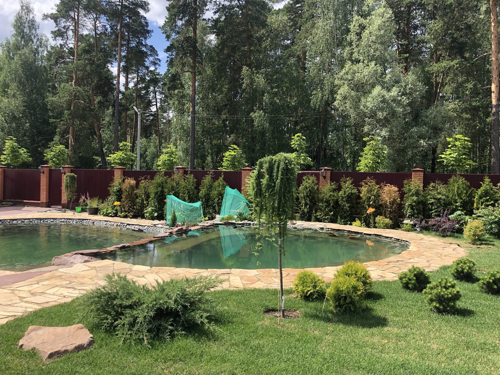 Фото на объекте «Сад в г. Выкса» - 6