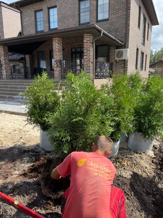 Сад в КП Земляничная поляна